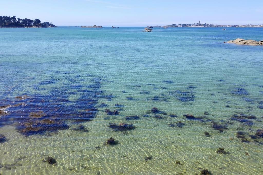 Roscoff 2 Pieces Classe 2 Etoiles Et Terrasse Centre Historique エクステリア 写真